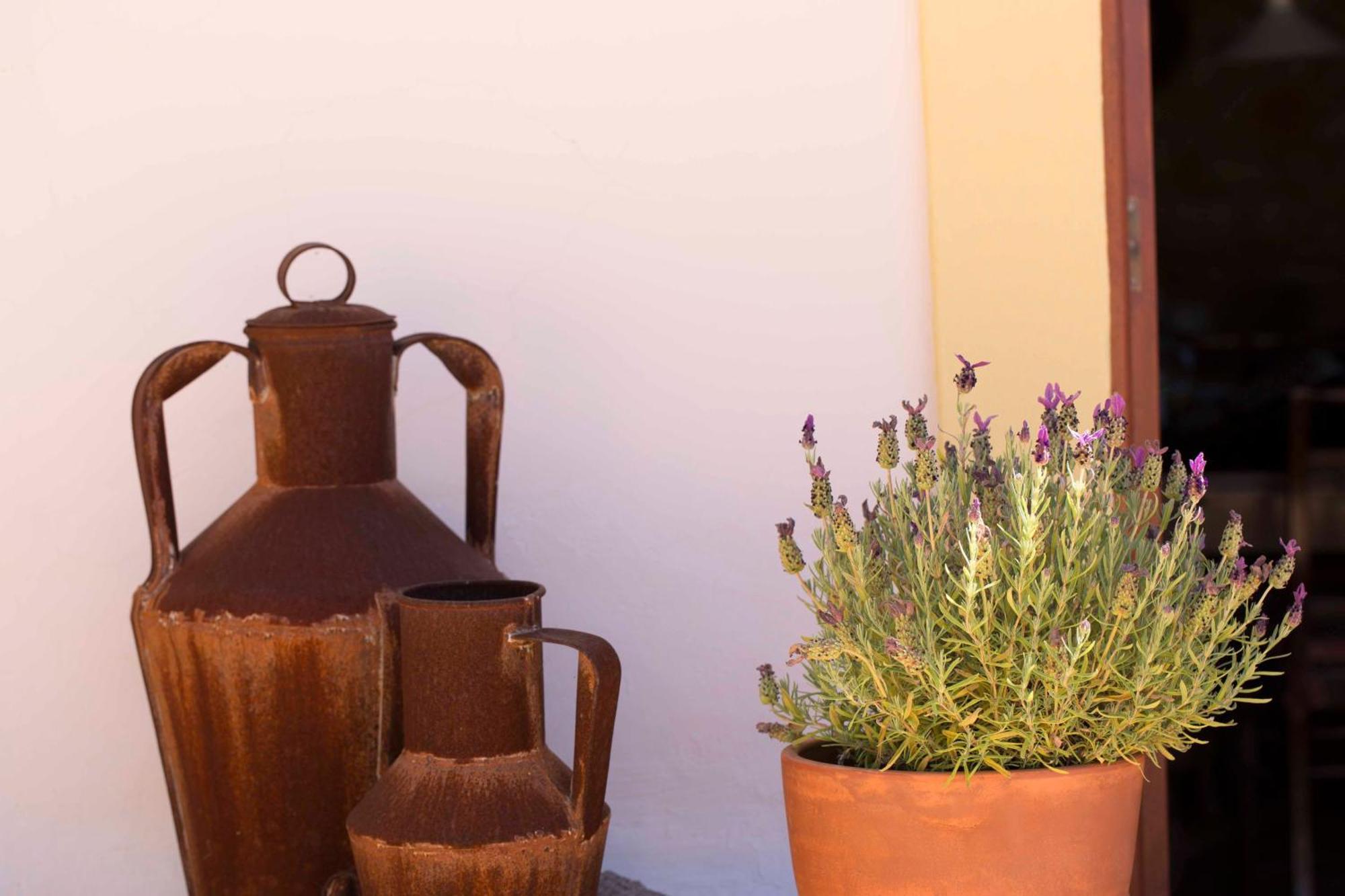 B&B Candelaria Corregos de Monte Seco Екстер'єр фото